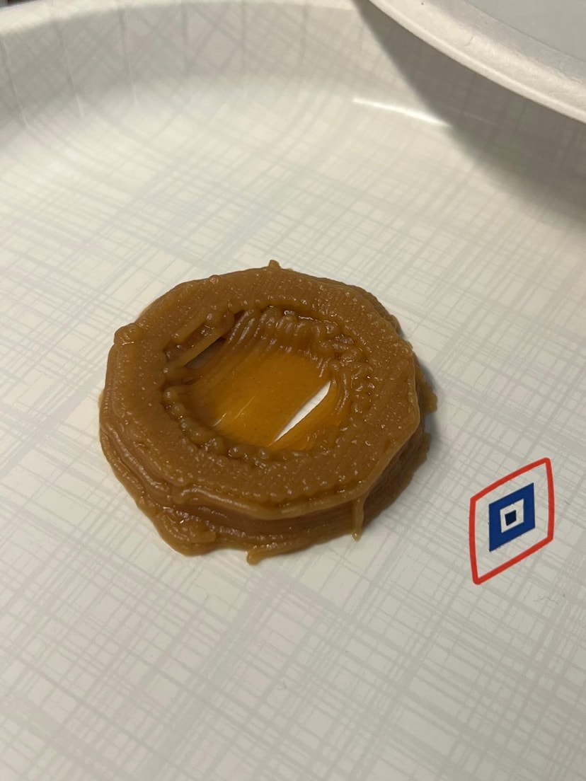 3D printed cookie from the food printer